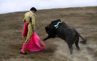 Corrida en San José del Cabo - Pablo Vélez