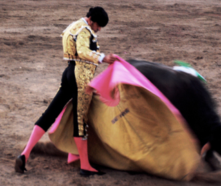 Corrida en San José del Cabo - Pablo Vélez