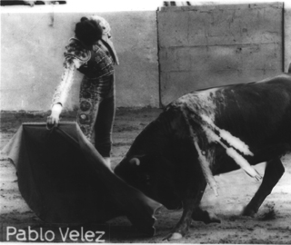 Corrida en San José del Cabo - Pablo Vélez